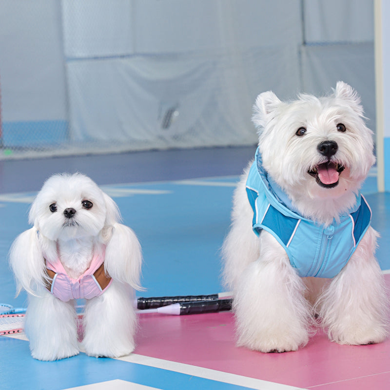 kikipals